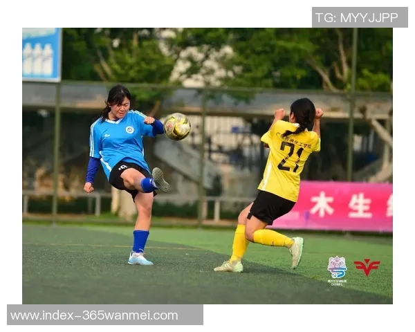 茵浪足球价格8479的性价比分析及购买建议分享